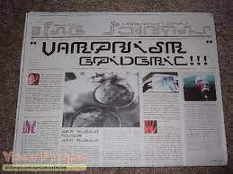 Турецким отелям запретили хранить копии паспортов постояльцев